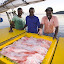seychelles_13.jpg