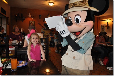 animal kingdom 121012 029