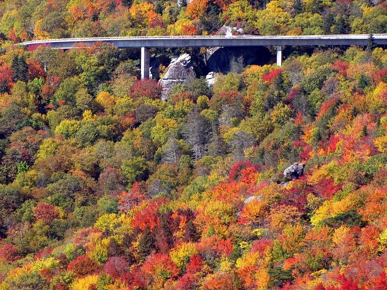 linn-cove-viaduct-12