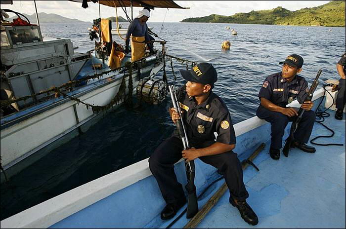 Image Dimension: 700x464 :: The making of Golden Pearl on the island of Palawan in southwestern Philippines The making of Golden Pearl on the island of Palawan in southwestern Philippines