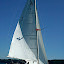 Boating - Rocket%252520Dog06.JPG