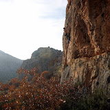 IMG_8609.jpg