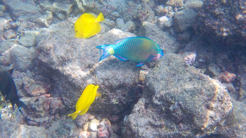 [20121217-100_05834.jpg]