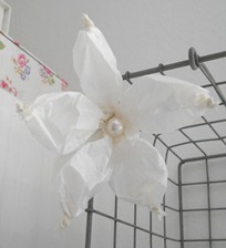 [DSCN1624_thumb%255B11%255D%255B7%255D.jpg]