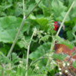 View album