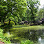 Nature Impressions