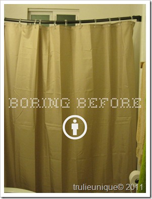 shower curtain, redo shower curtain, inexpensive shower curtain