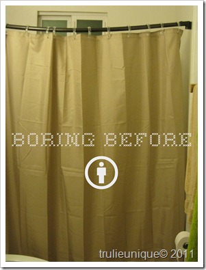 boring before shower curtain, redo shower curtain, inexpensive shower curtain