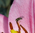 DSCF9958.JPG