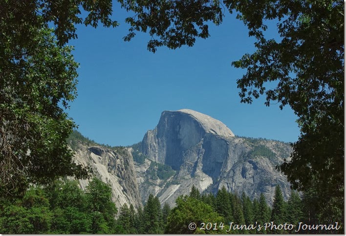 Half Dome - Yosemite National Park Half Dome - Yosemite National Park