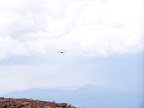 colorado