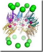 proteasome proteasome