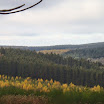 PB110020.jpg
