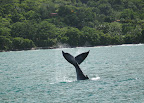 Sprachaufenthalt Costa Rica