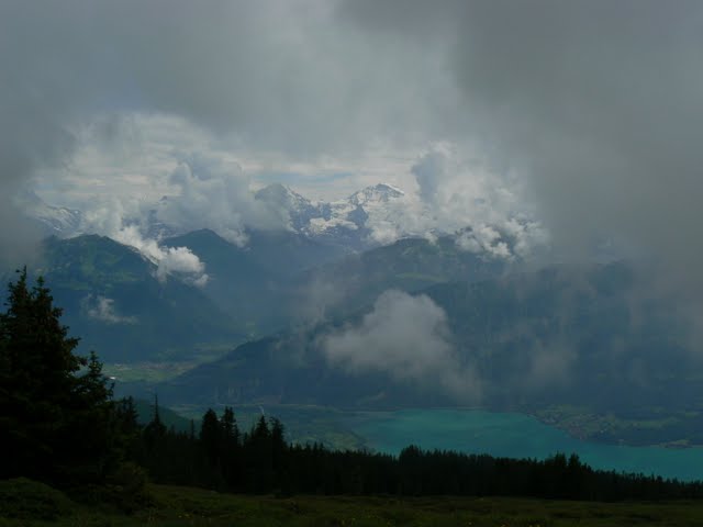 udsigt fra Niederhorn mod Jungfrau