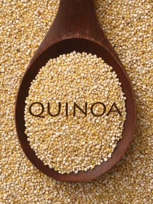 [quinoa_thestudiomdr%255B3%255D.jpg]