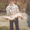 14_fisch2.tif.jpg