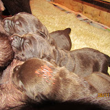 IMG_1182.JPG