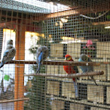 IMG_5366.jpg