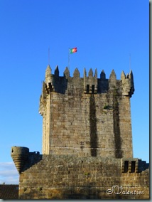 P1030241 P1030241