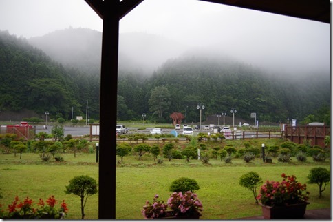 IMGP8646 IMGP8646