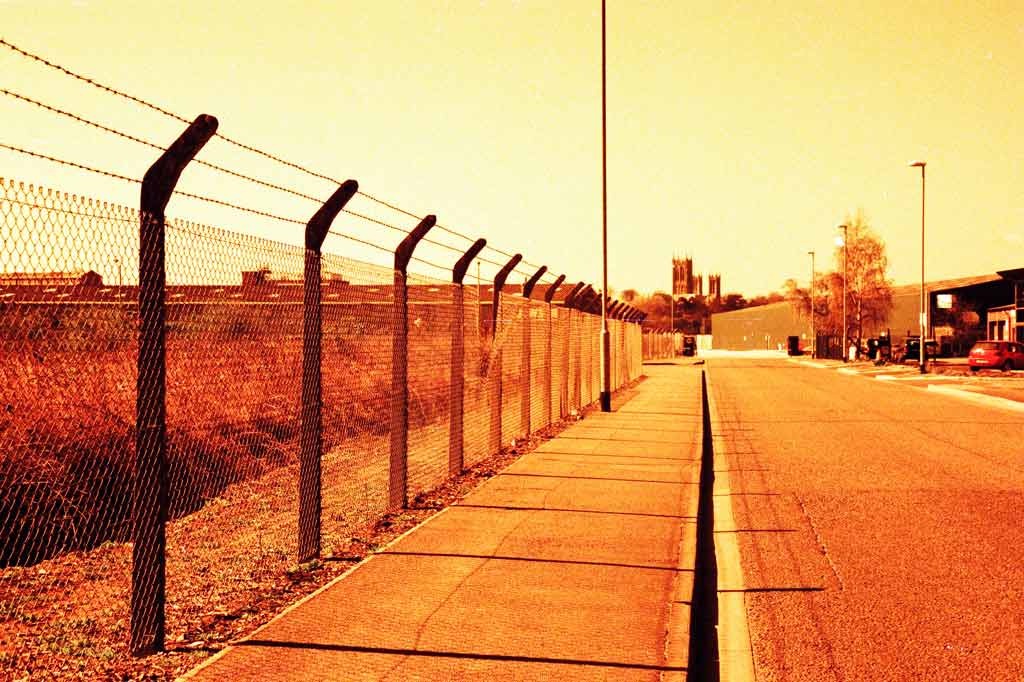 [Brownland---XPRO%255B4%255D.jpg]