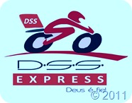 logo dss