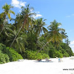 l035.jpg