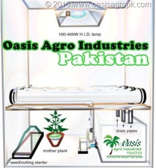 Hydroponics an overview