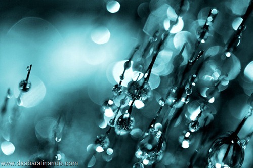 gotas de agua em macro desbaratinando (16) gotas de agua em macro desbaratinando (16)