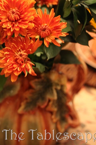 [Glowing%2520Thanksgiving%2520049%255B3%255D.jpg]