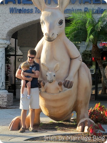 IMG_0060 IMG_0060