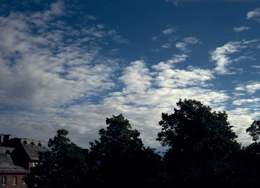 over the rooftops.jpg
