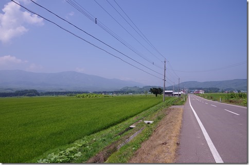 IMGP6441 IMGP6441
