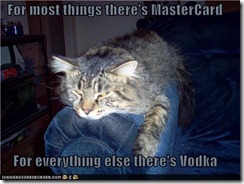 funny-pictures-for-most-things-theres-mastercard-for-everything-else-theres-vodka