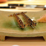 De belles crevettes, vivantes.