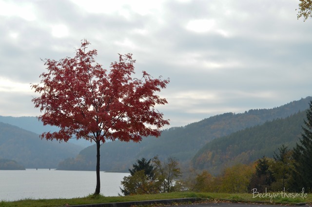 2013-10-24 Lake Kanayama 009