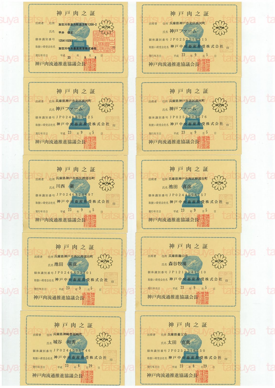 [LOT-11092101-%25231.jpg]