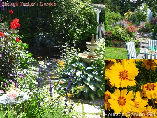 TuckerGarden