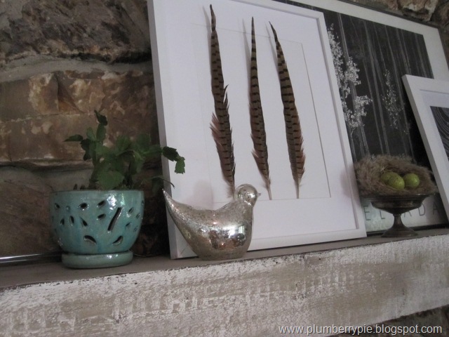 [feathers%2520for%2520fall%2520mantel%255B5%255D.jpg]