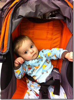 IMG_3862 IMG_3862