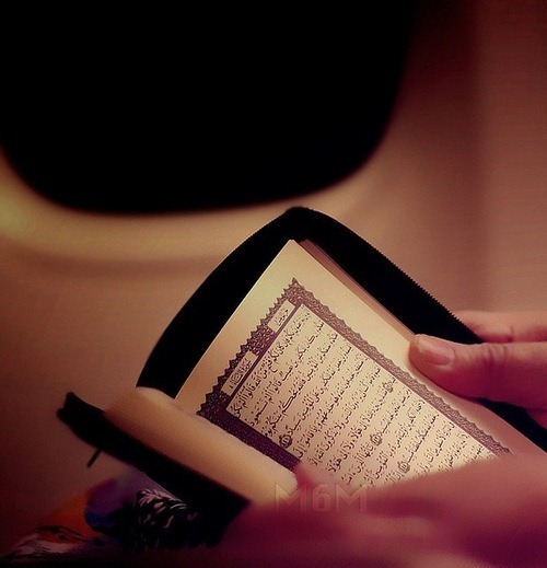 [reading_quran_in_Plane%255B5%255D.jpg]