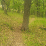 " The Path" - copyright Erin Cochran