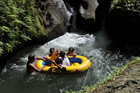 pinoyecofarm january _0115.JPG