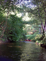 DSC04689.JPG Photo