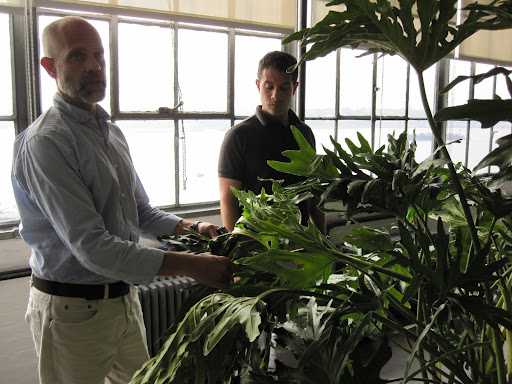 We being to discuss not only how to care for the plants but how we are going to repot them.