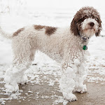 EMMIE-JAN11-6058.jpg