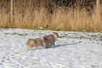 _DSC0041.JPG