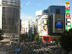 Oct 7 - Shibuya's famous intersection, Tokyo