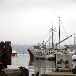 IMG_6343.jpg